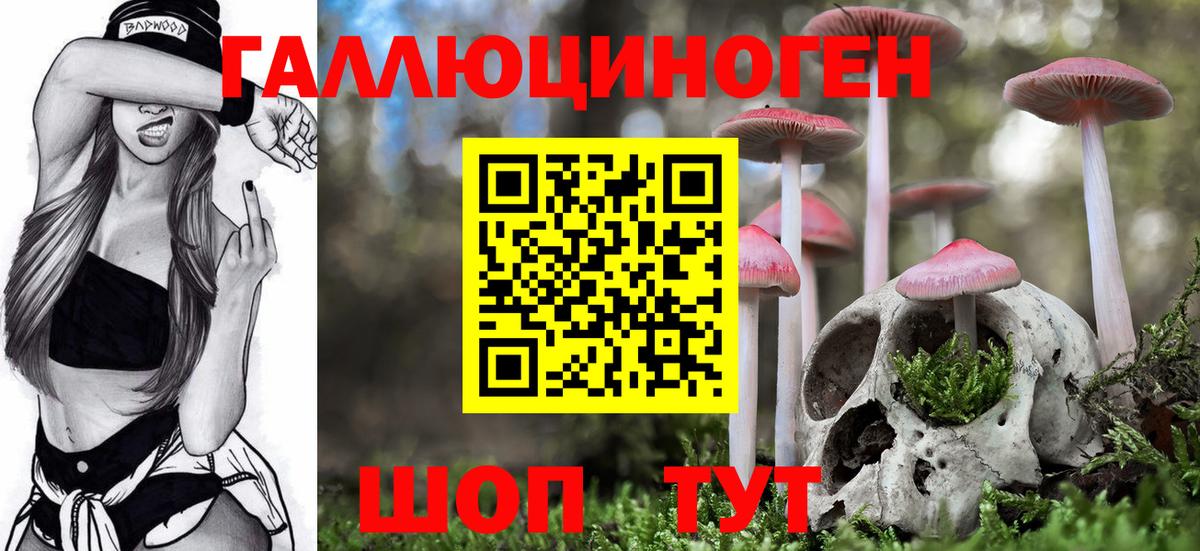 Псилоцибиновые грибы мицелий Таганрог