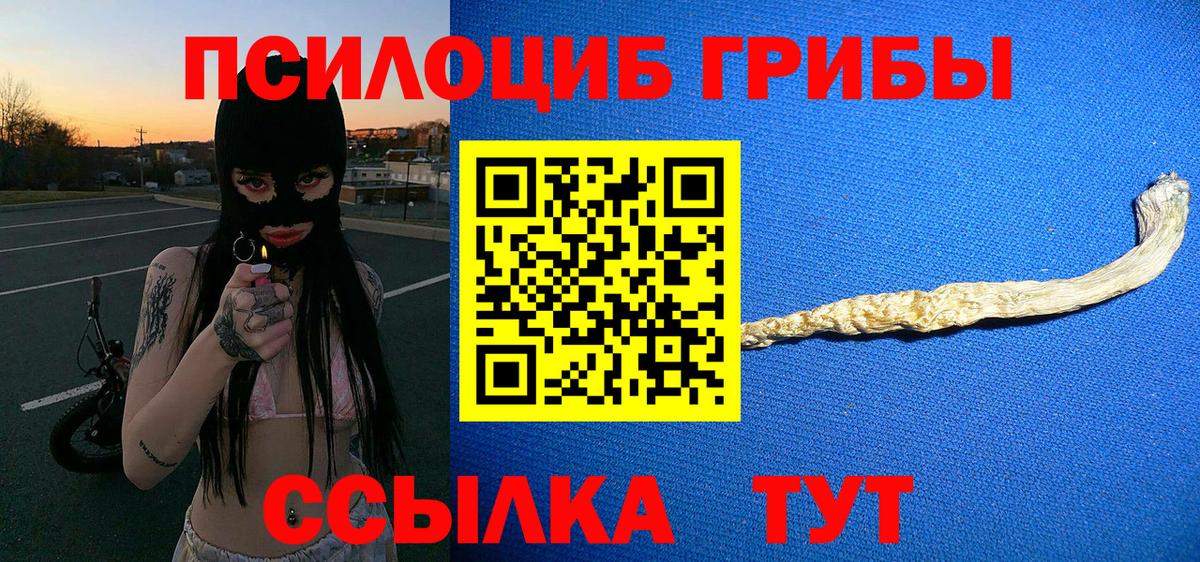 Таганрог  Псилоцибиновые грибы ЛСД  Псилоцибиновые грибы Psilocybine cubensis  Вход с VPN 